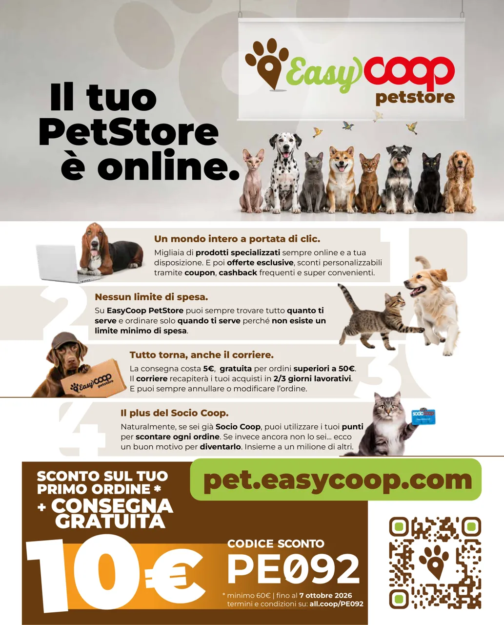 Pagina 11