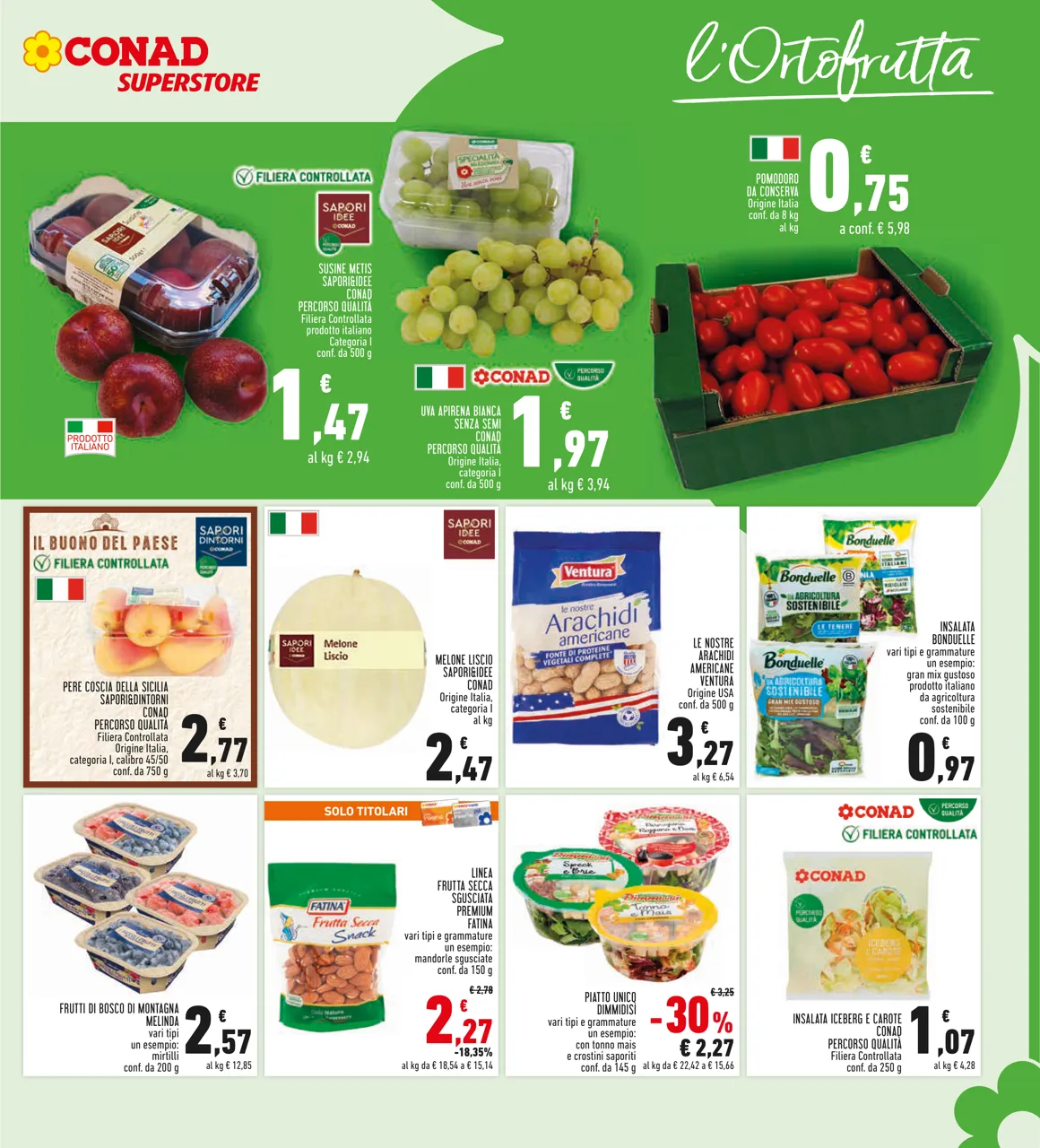 Pagina 7