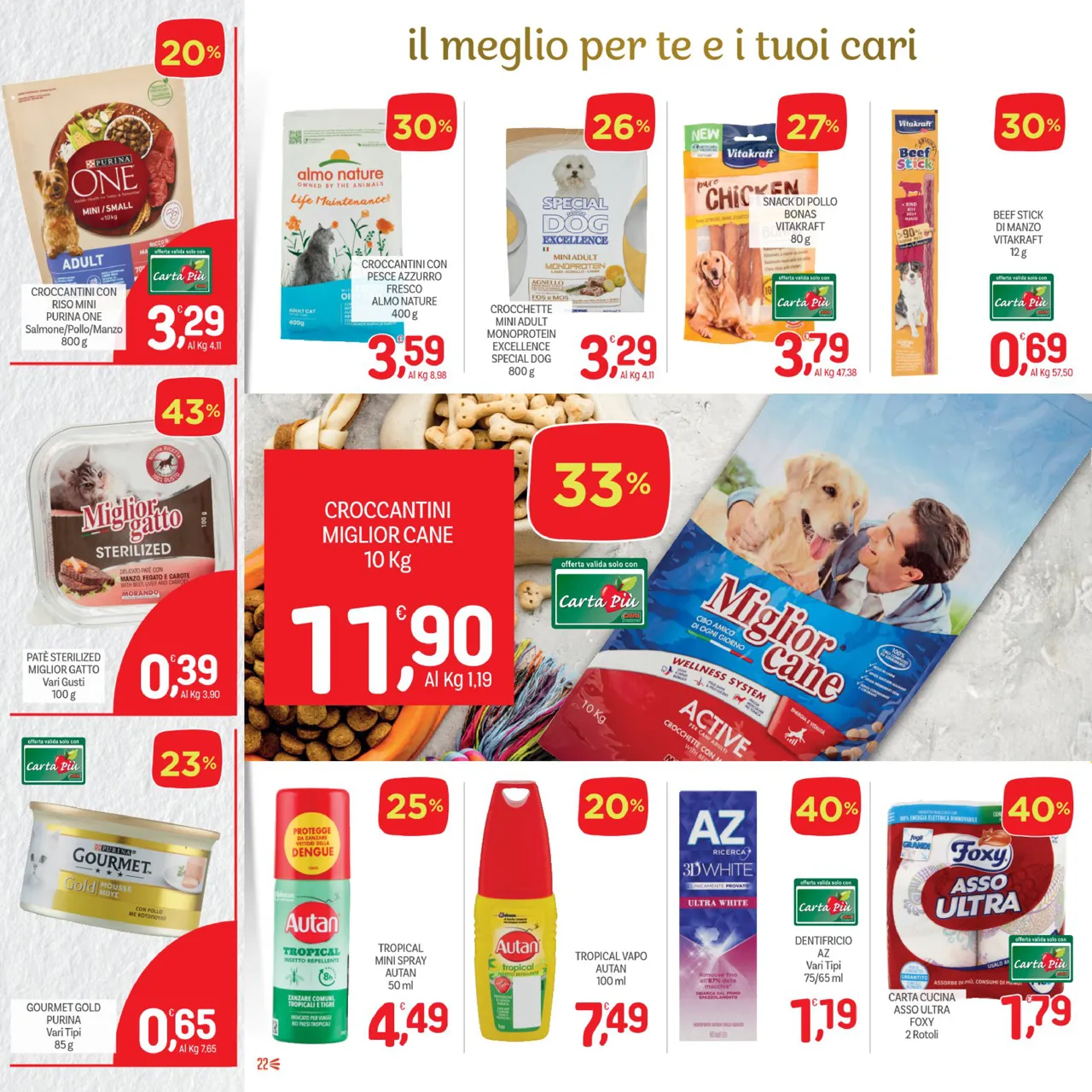Pagina 22