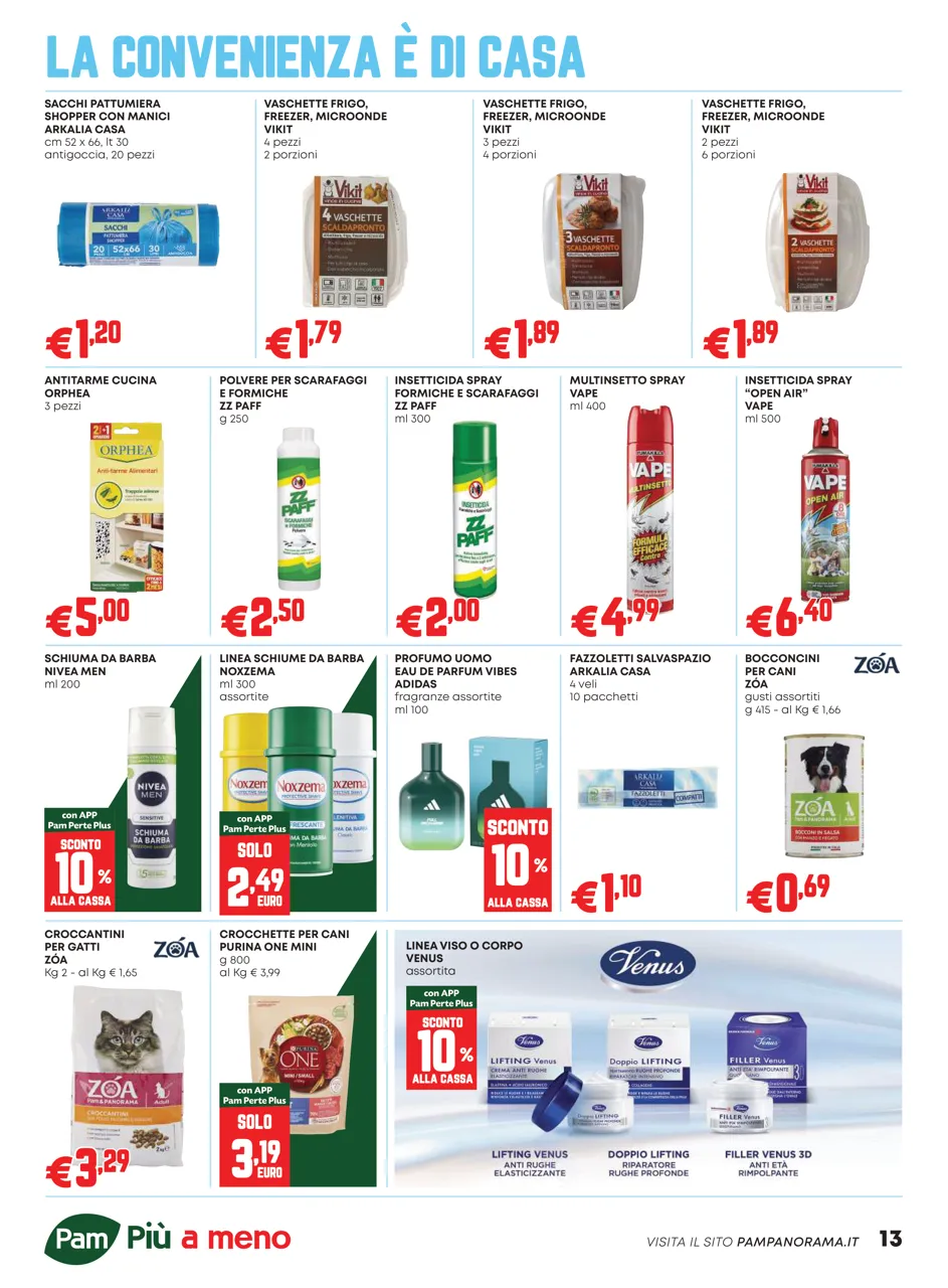 Pagina 13