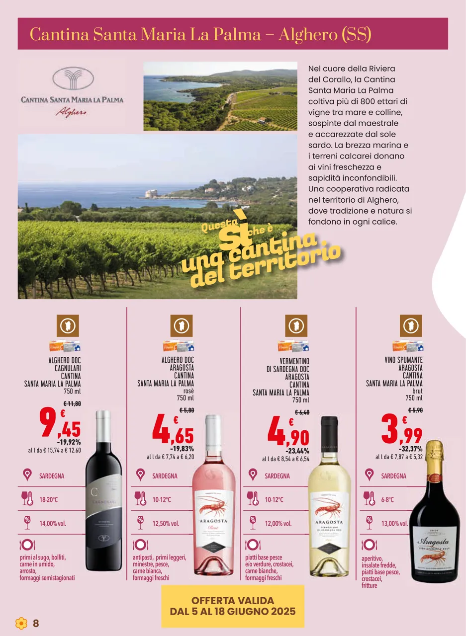 Pagina 8