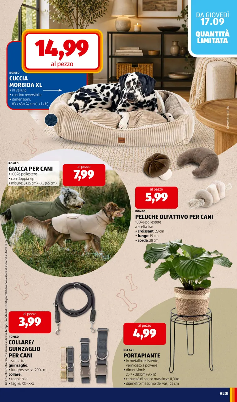 Pagina 33