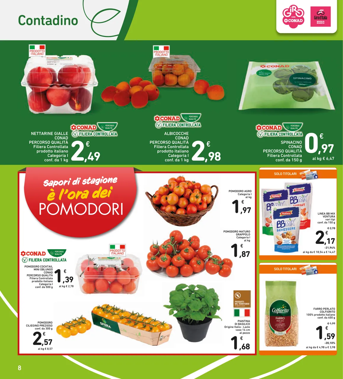 Pagina 8