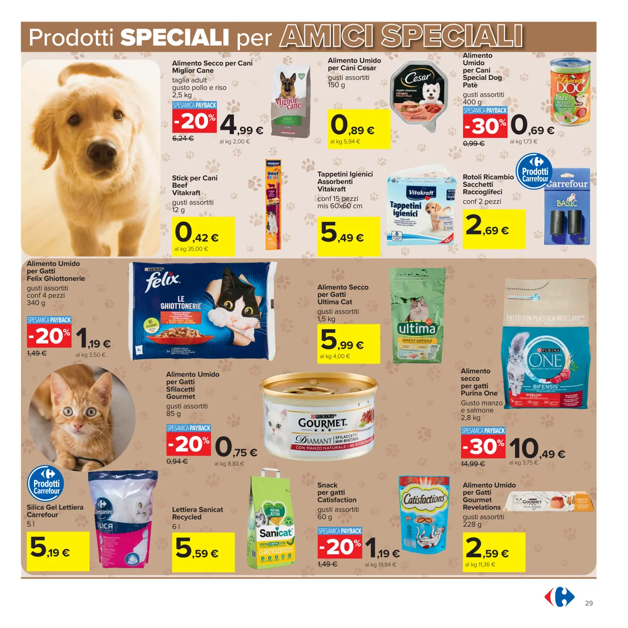 Pagina 29