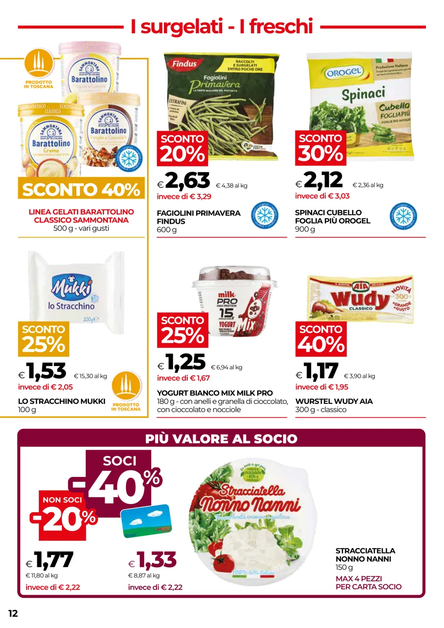 Pagina 12