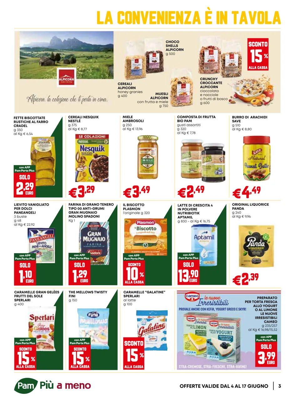 Pagina 3