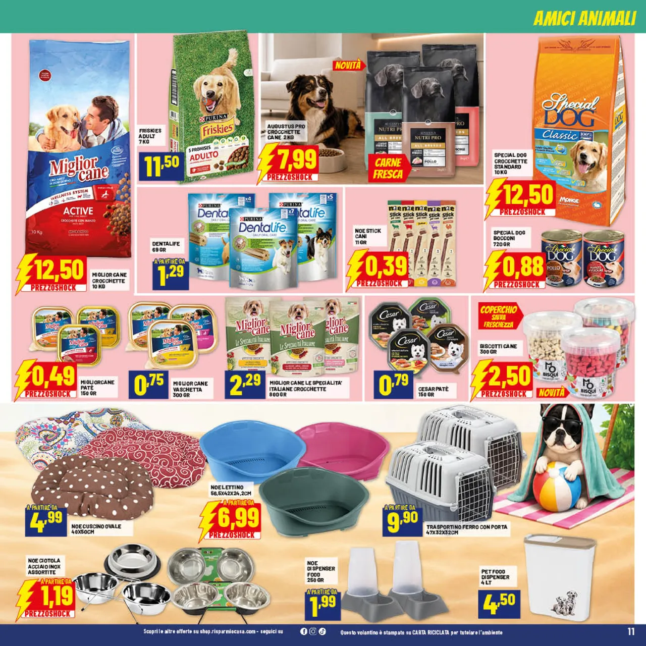 Pagina 11
