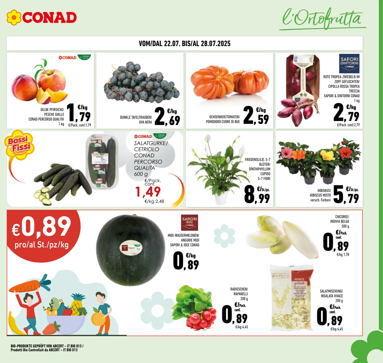 Pagina 3