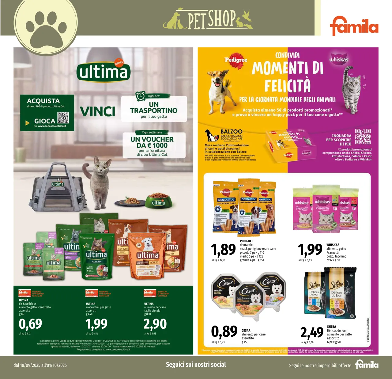 Pagina 19