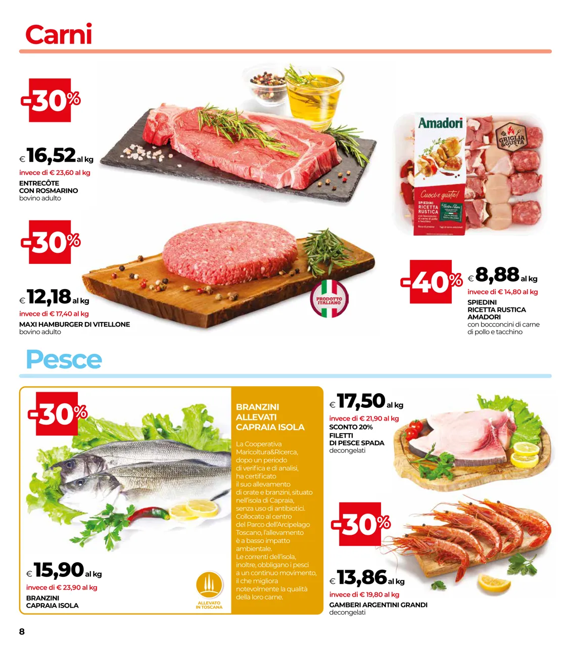 Pagina 8