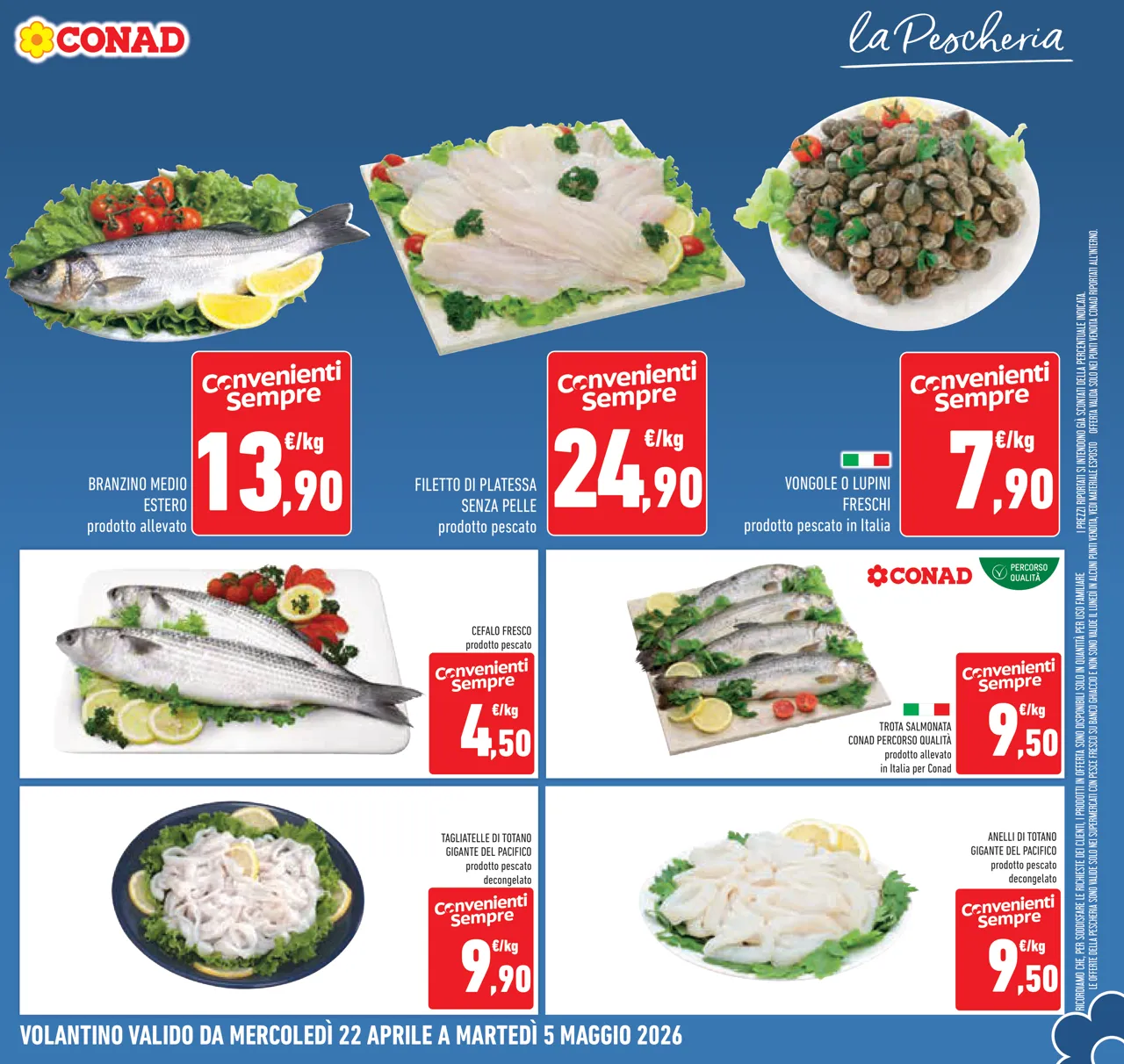 Pagina 7