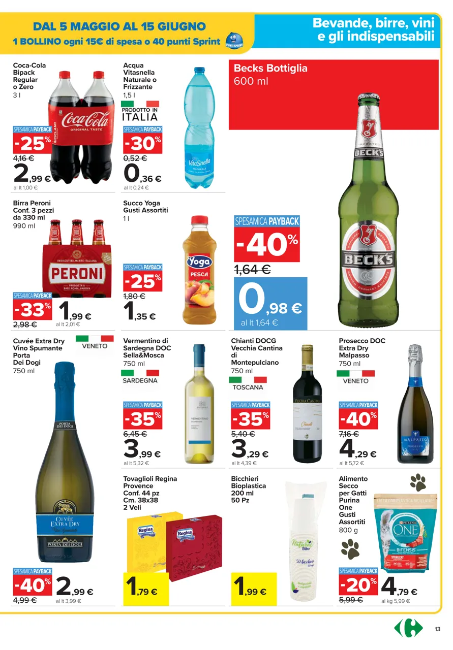 Pagina 13