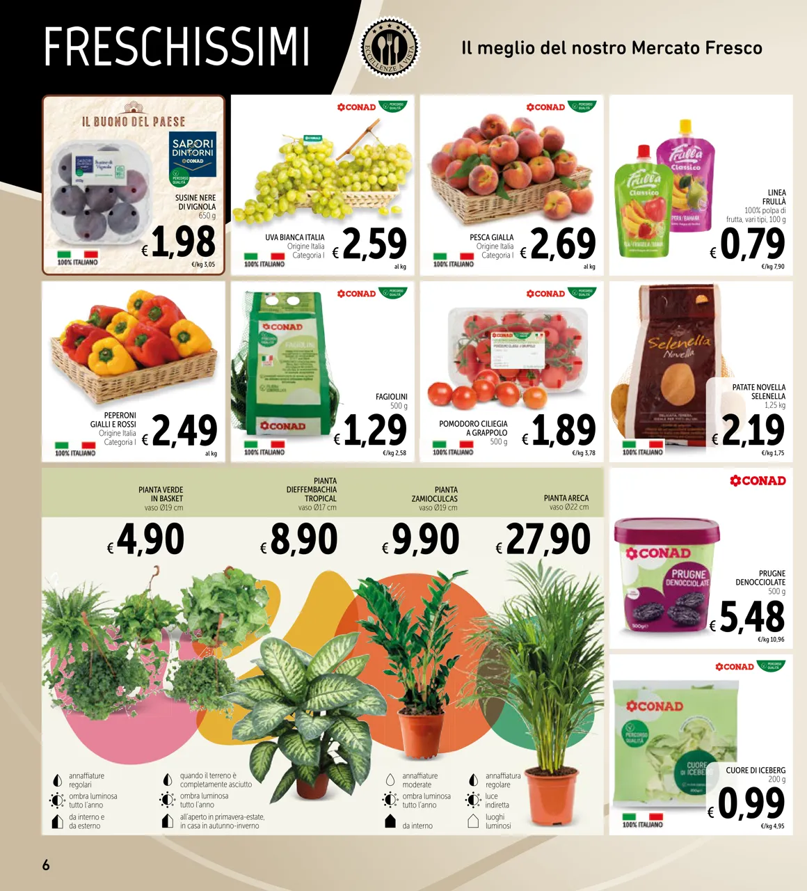Pagina 6