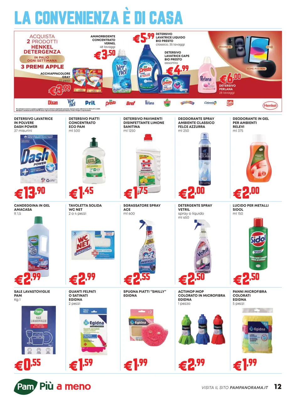 Pagina 12