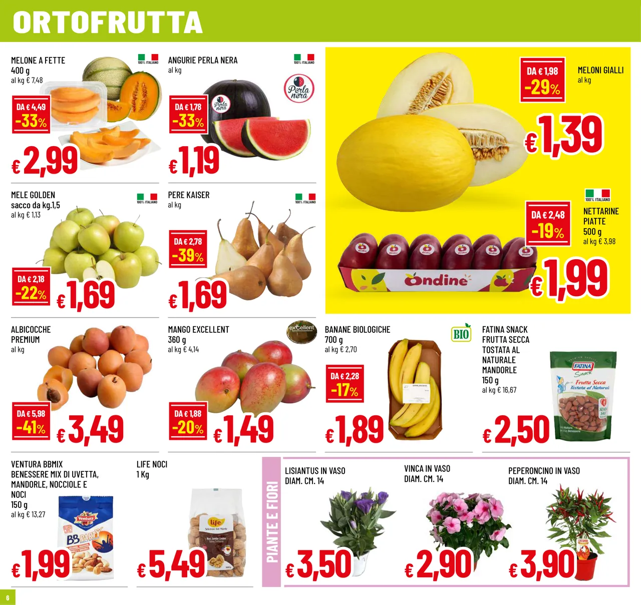Pagina 6