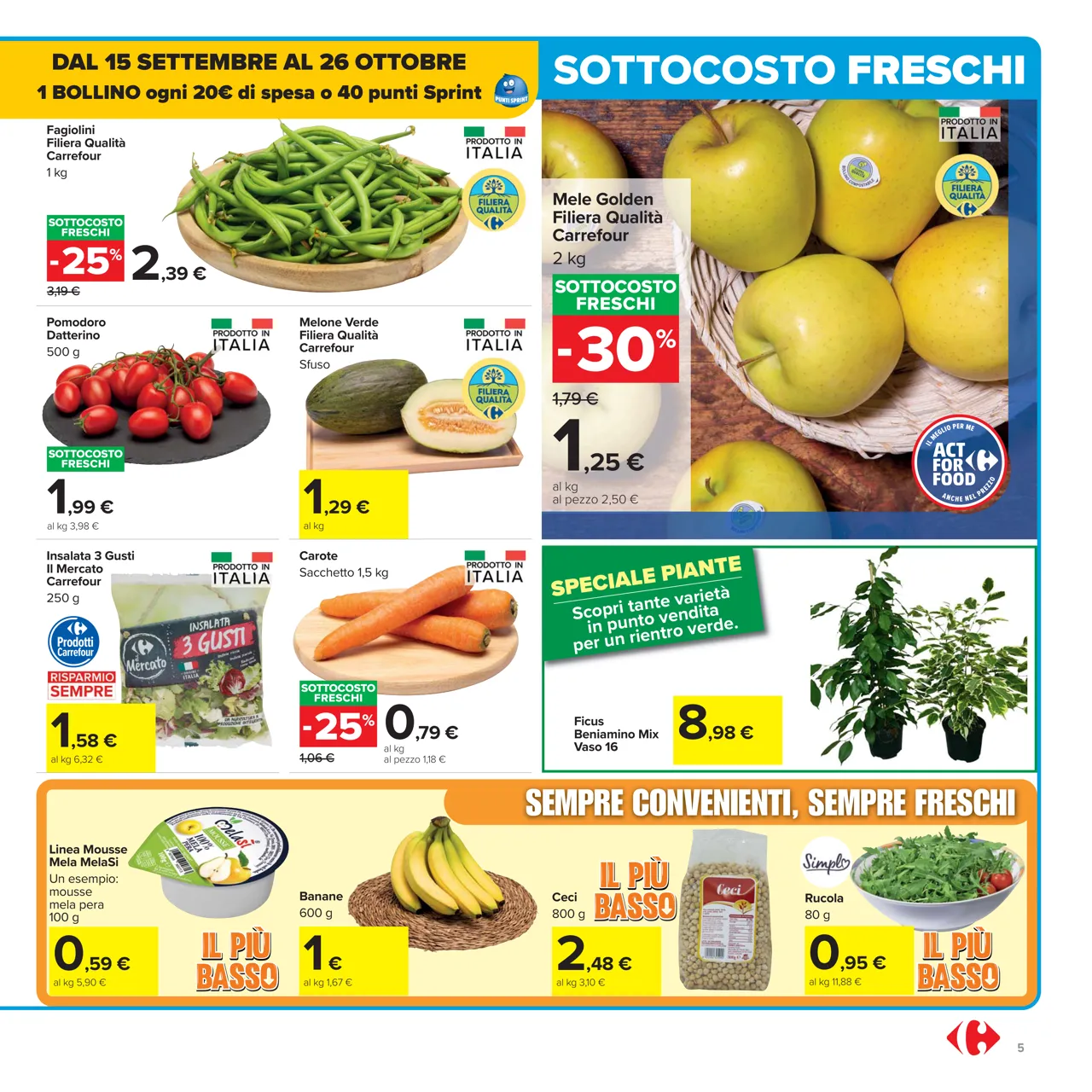 Pagina 5