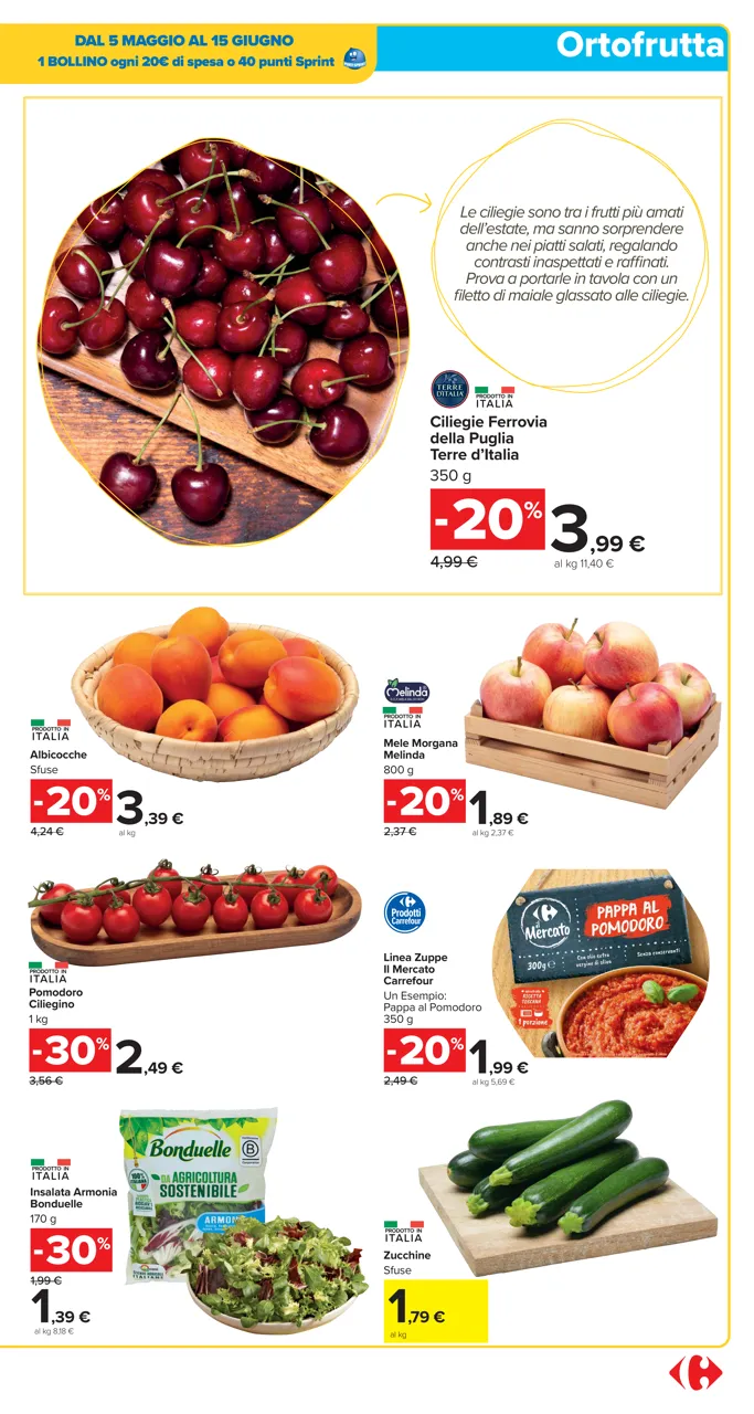 Pagina 5