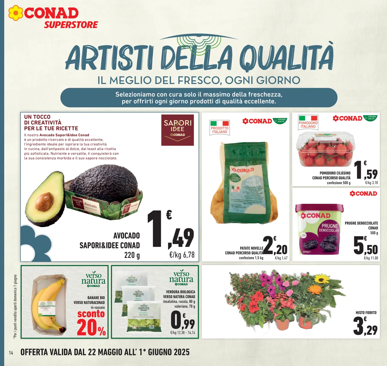 Pagina 14