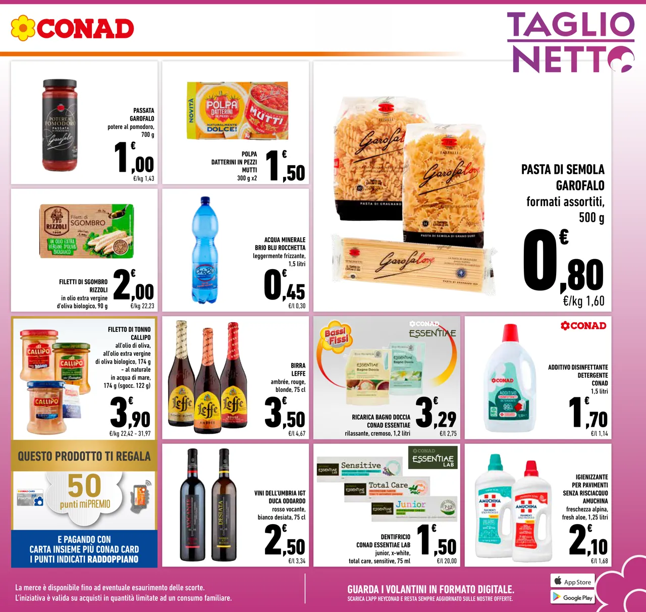 Pagina 3