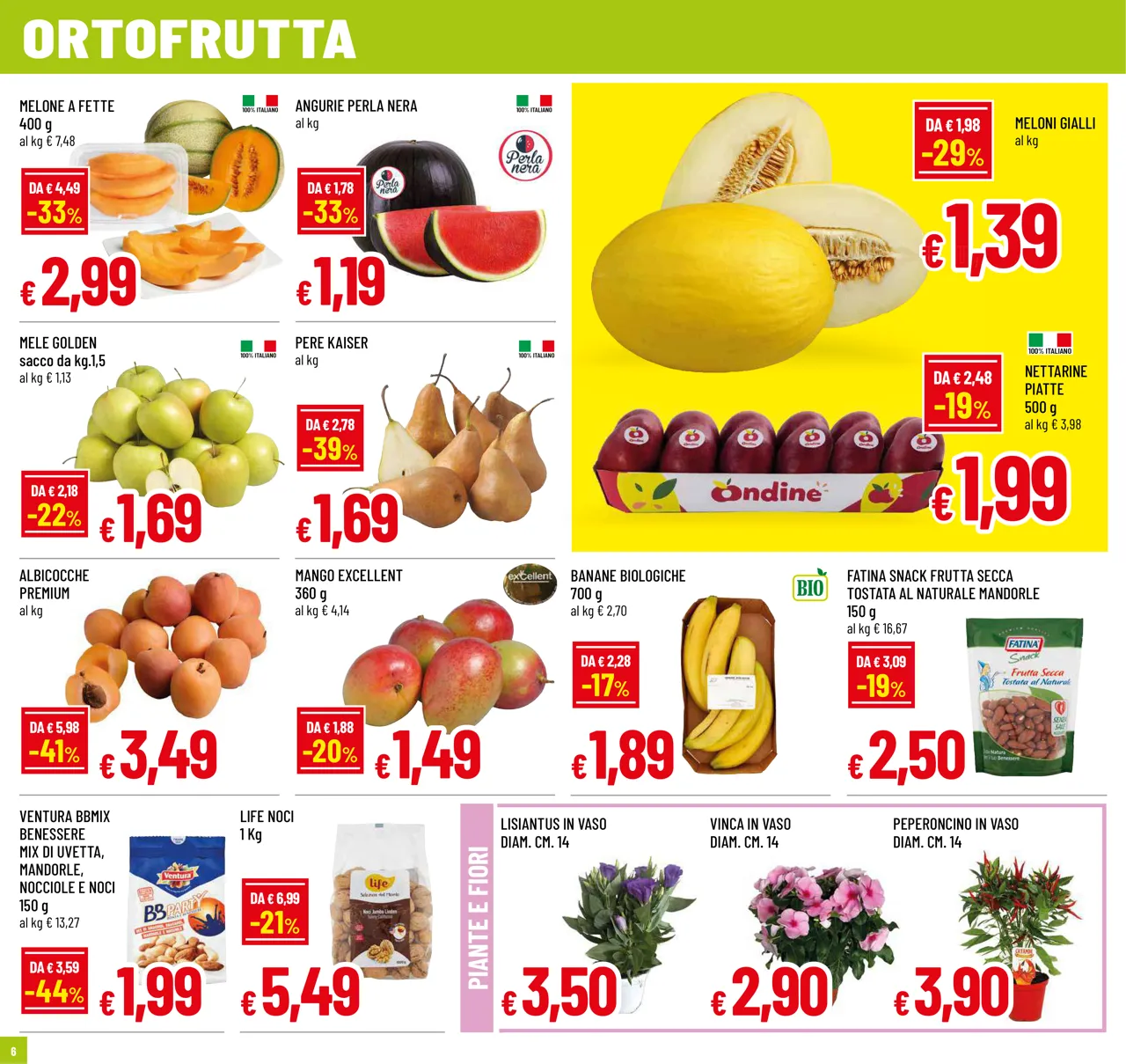 Pagina 6