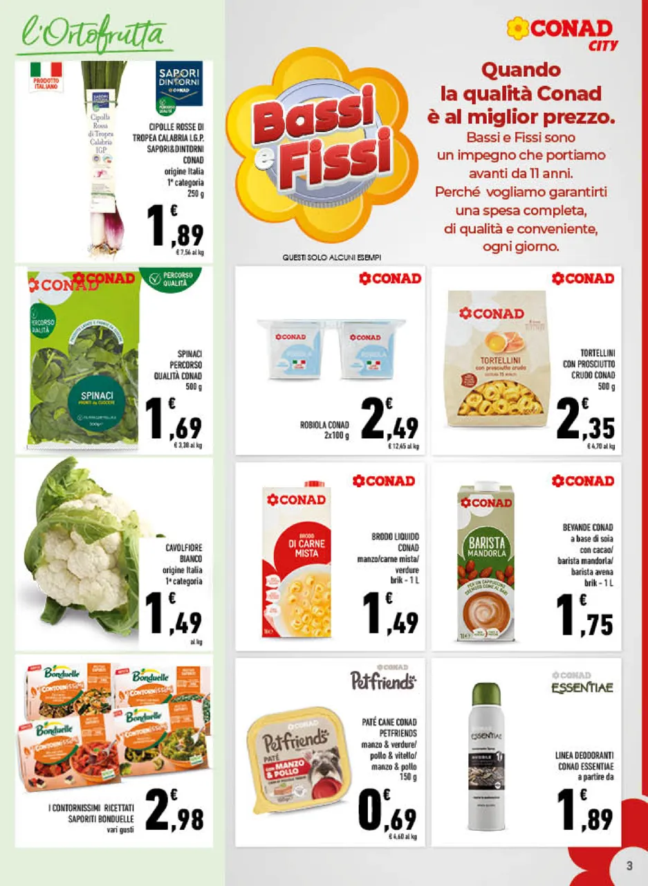 Pagina 3