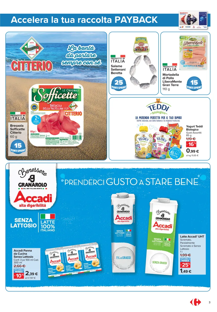 Pagina 3