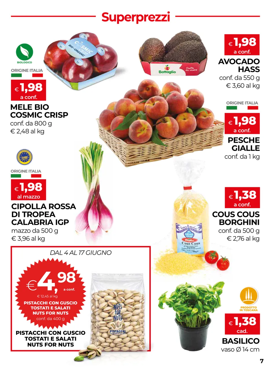 Pagina 7