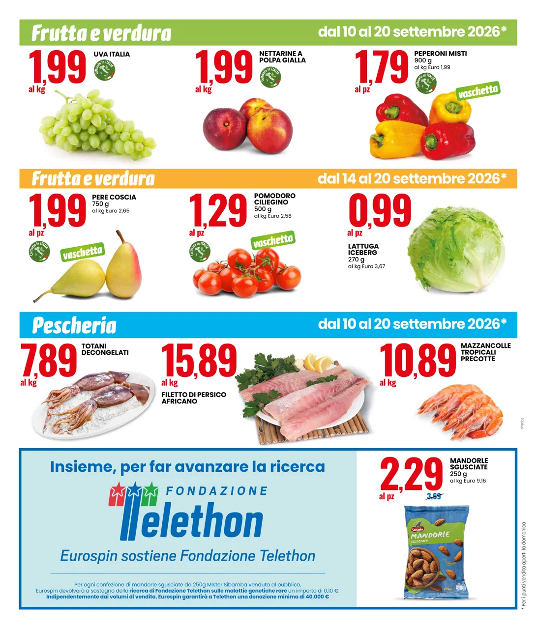 Pagina 12