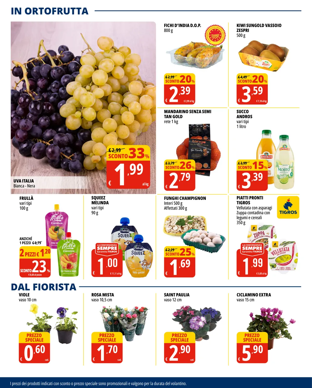 Pagina 6