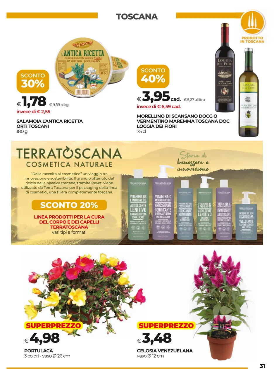 Pagina 31