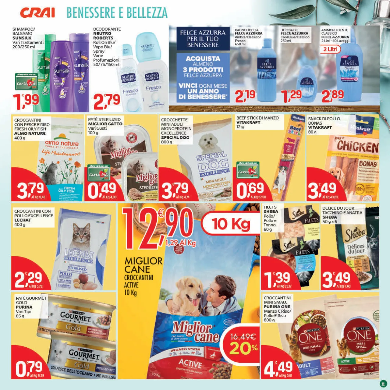 Pagina 11