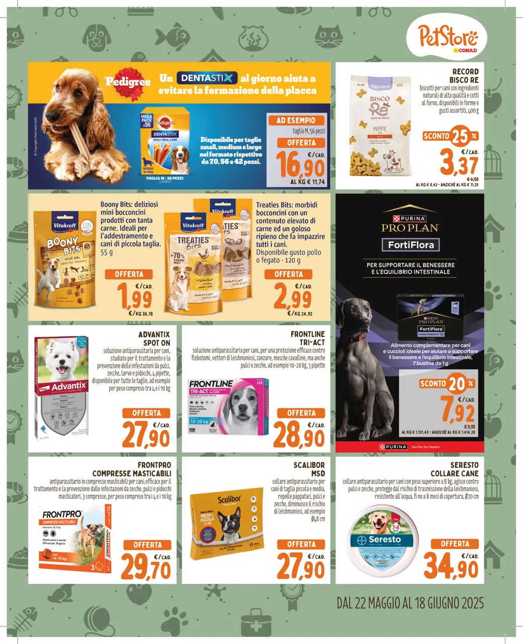 Pagina 3