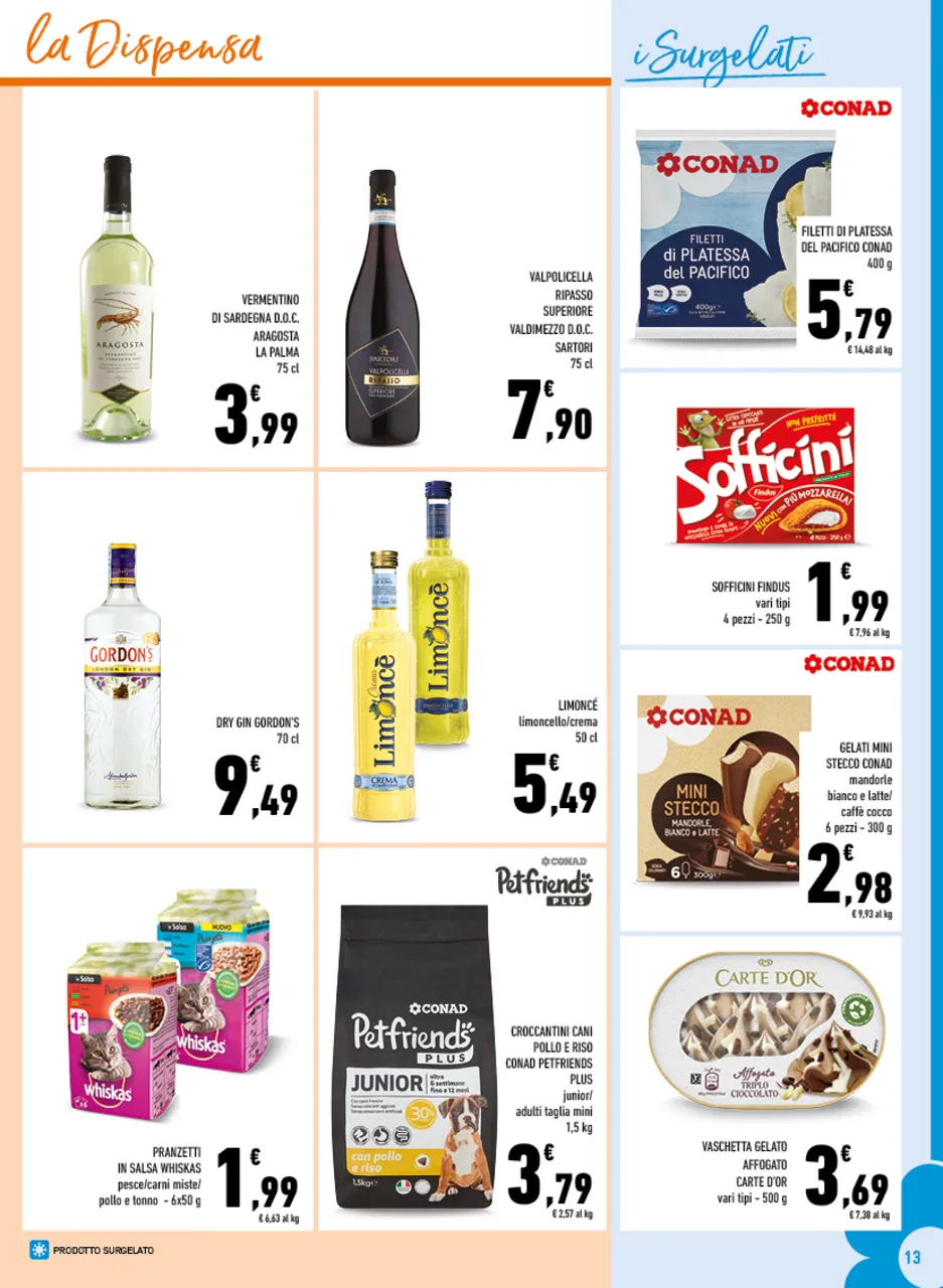 Pagina 13