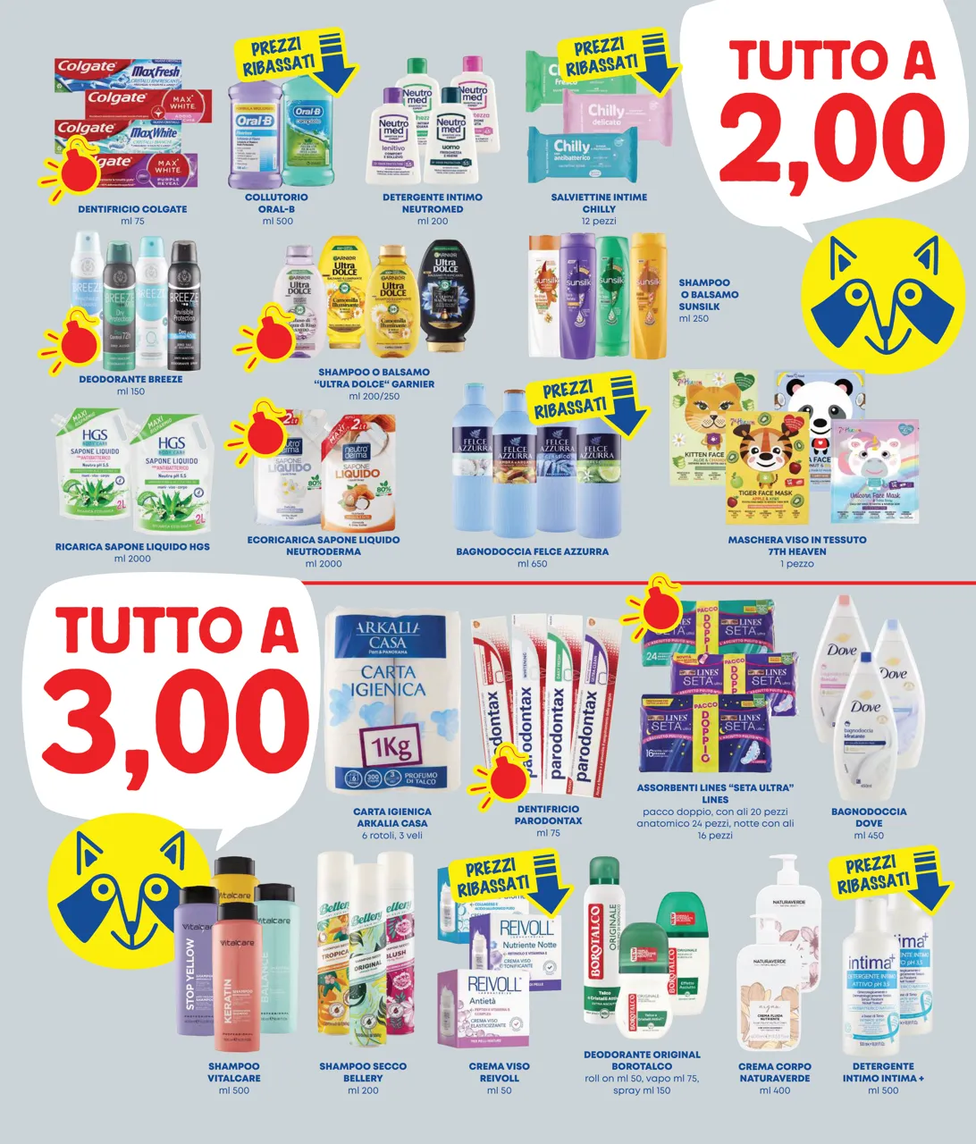 Pagina 3