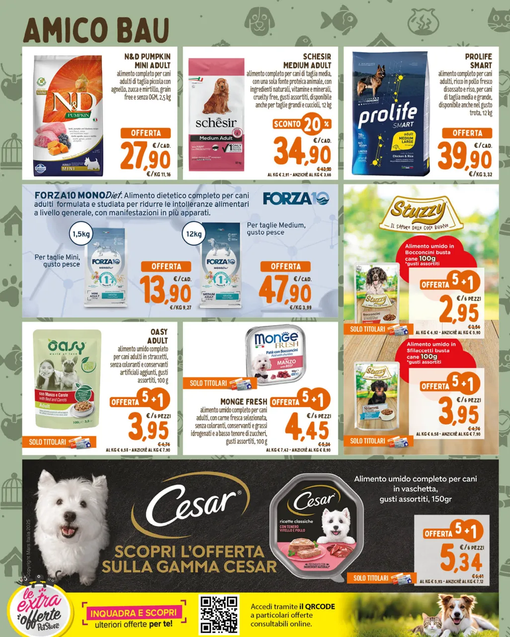 Pagina 2