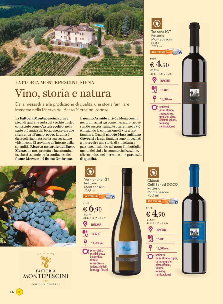 Pagina 16