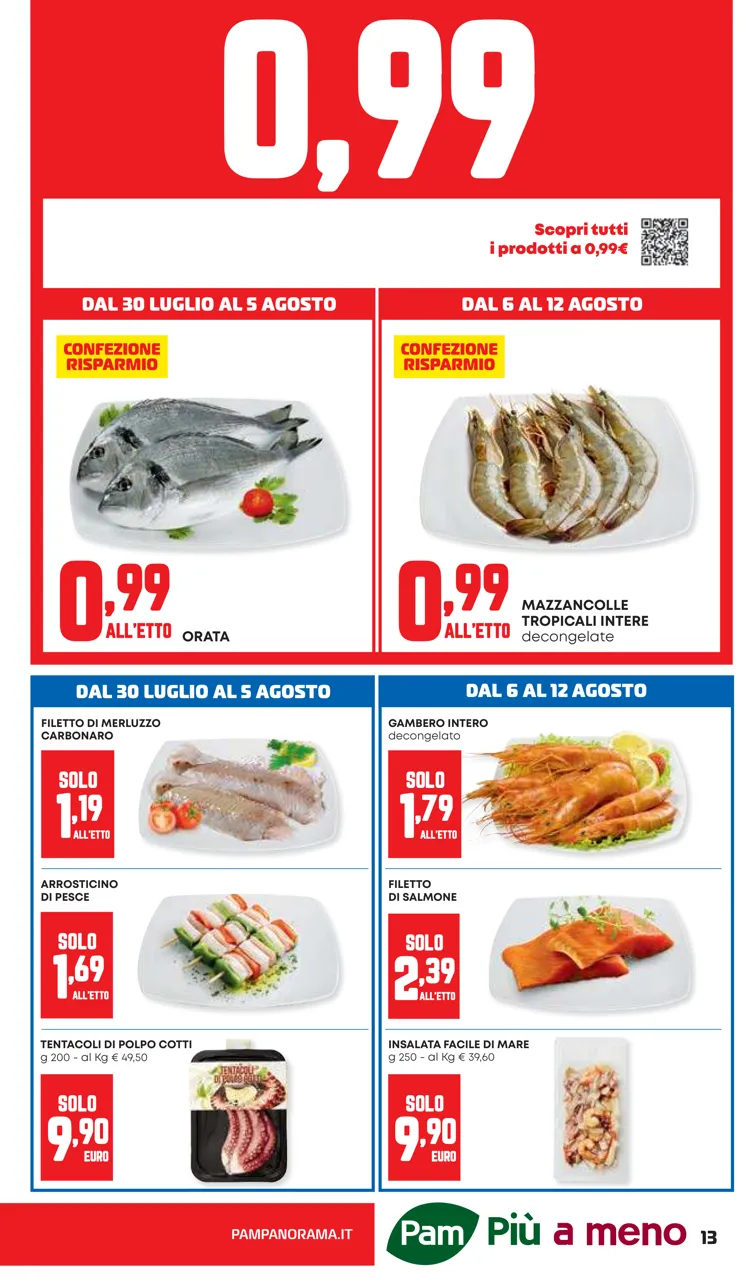 Pagina 13