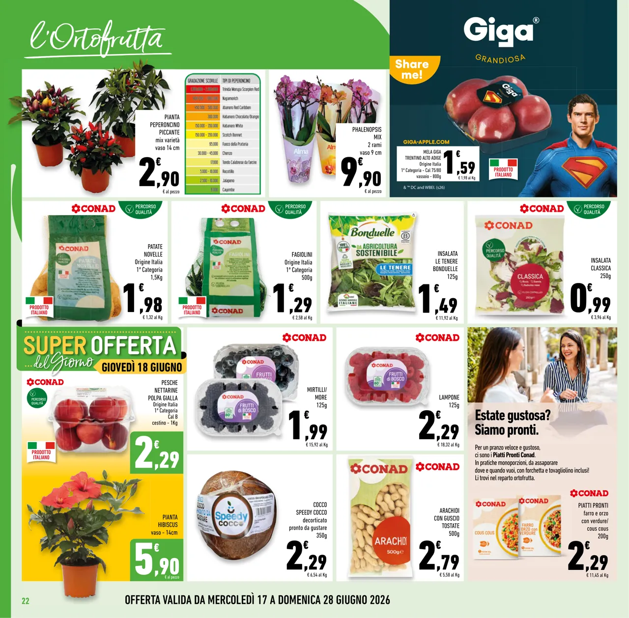 Pagina 22