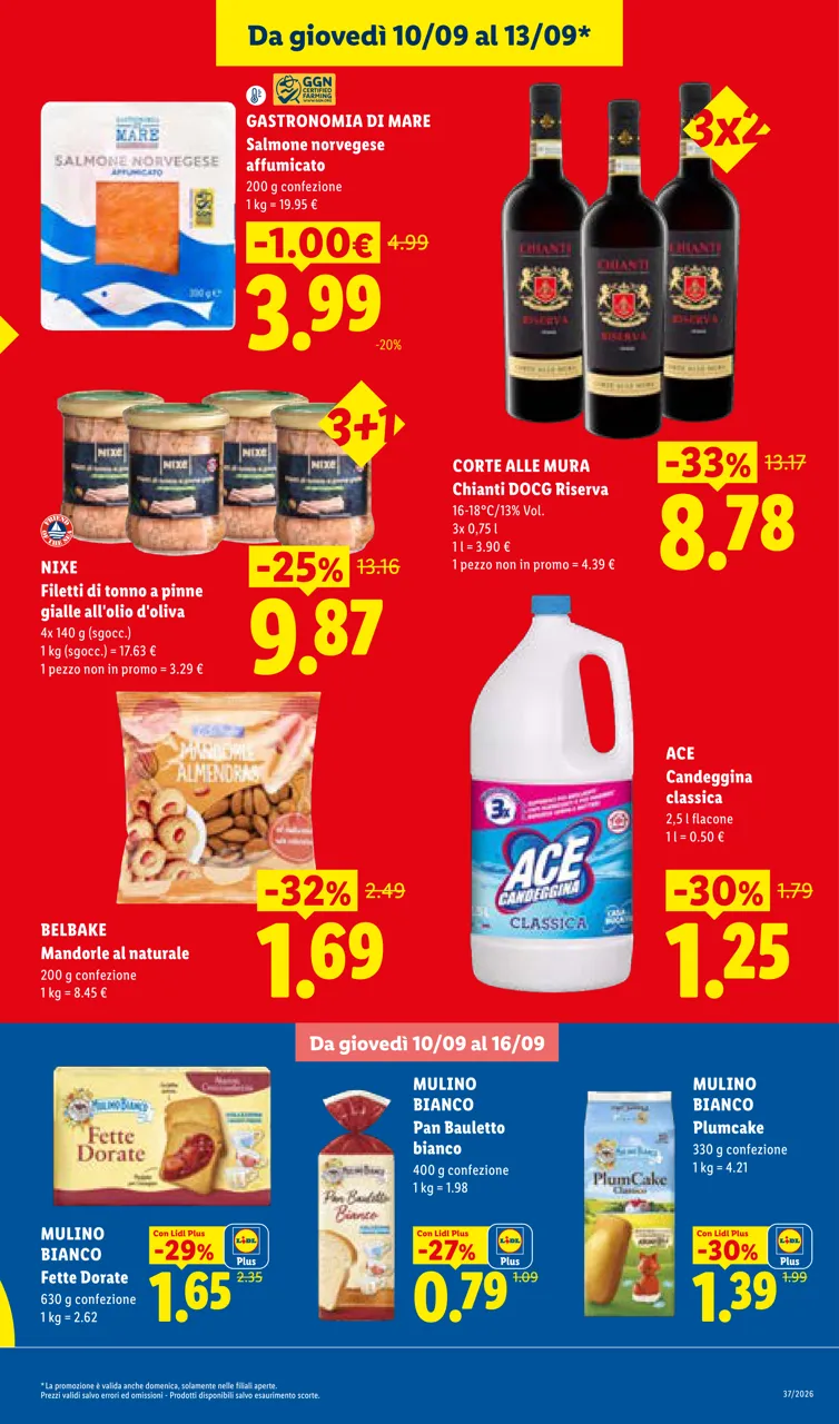 Pagina 3
