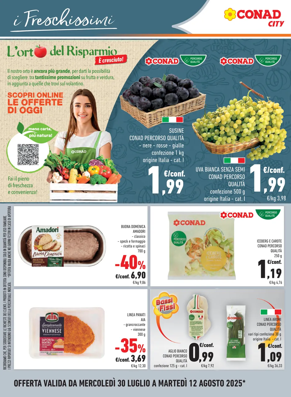 Pagina 12