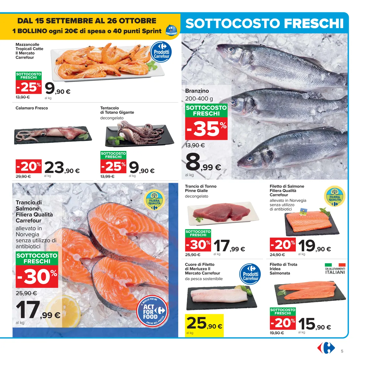 Pagina 5
