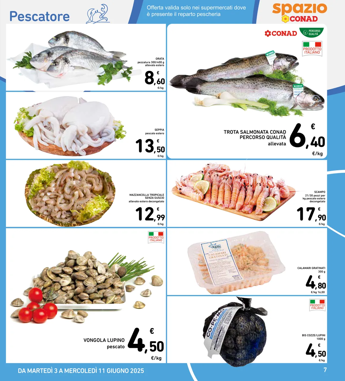 Pagina 7