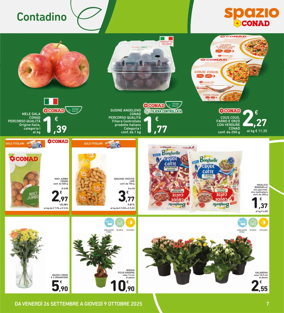 Pagina 7
