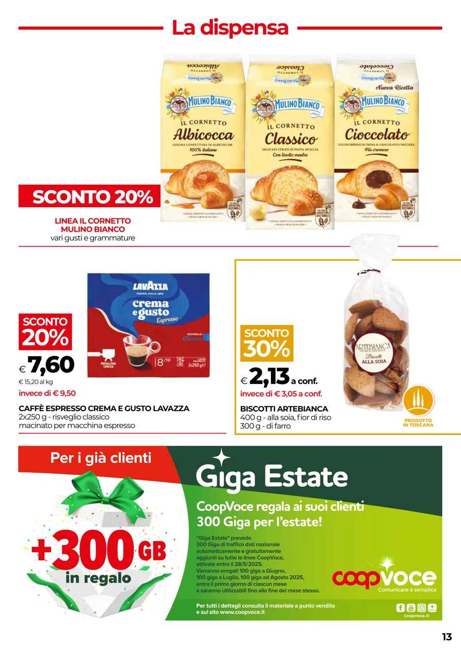 Pagina 13