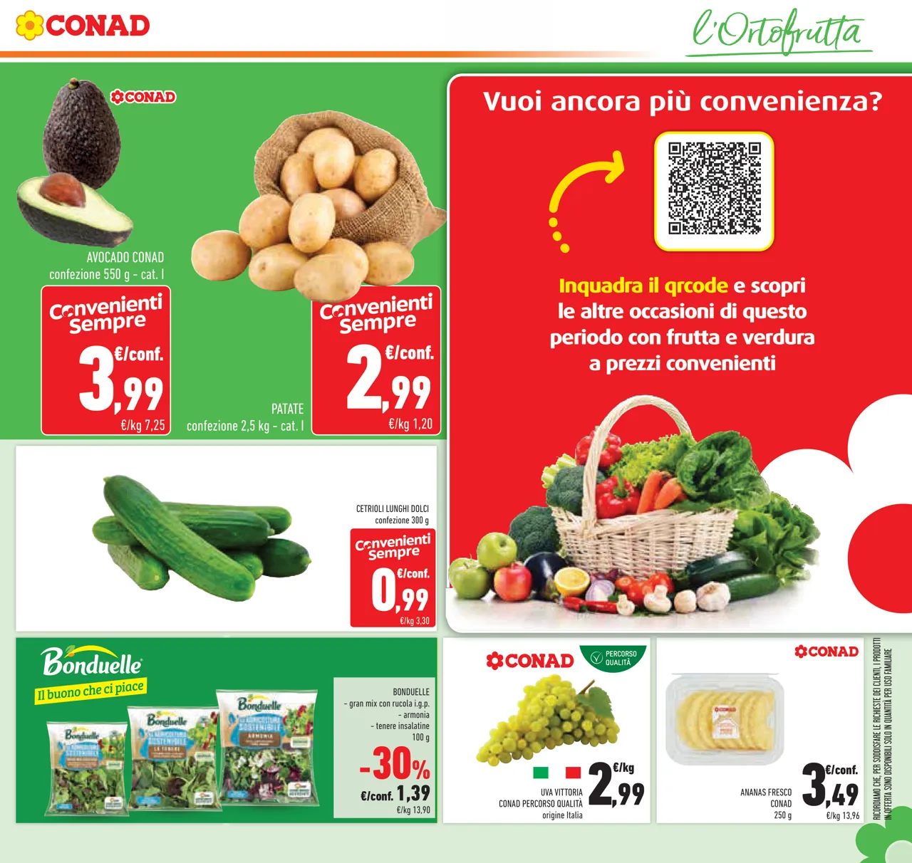 Pagina 13