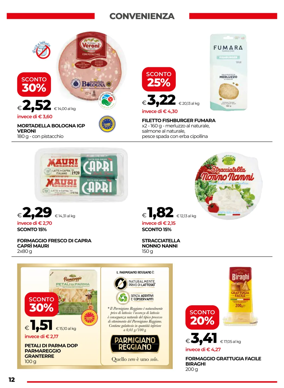 Pagina 12