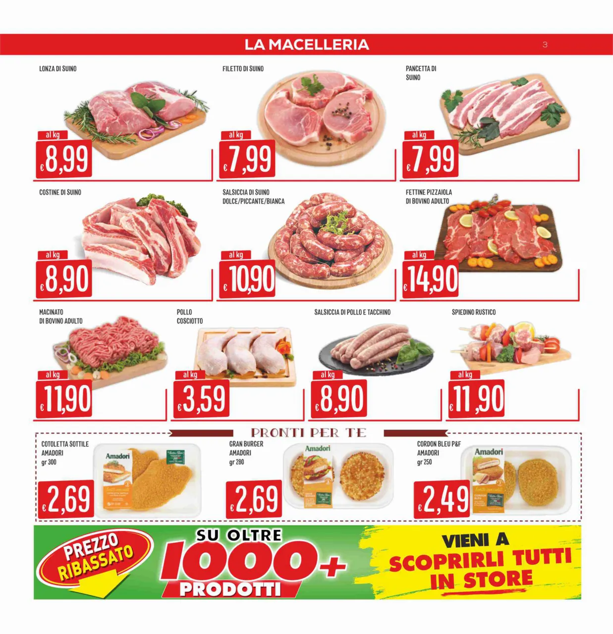 Pagina 3