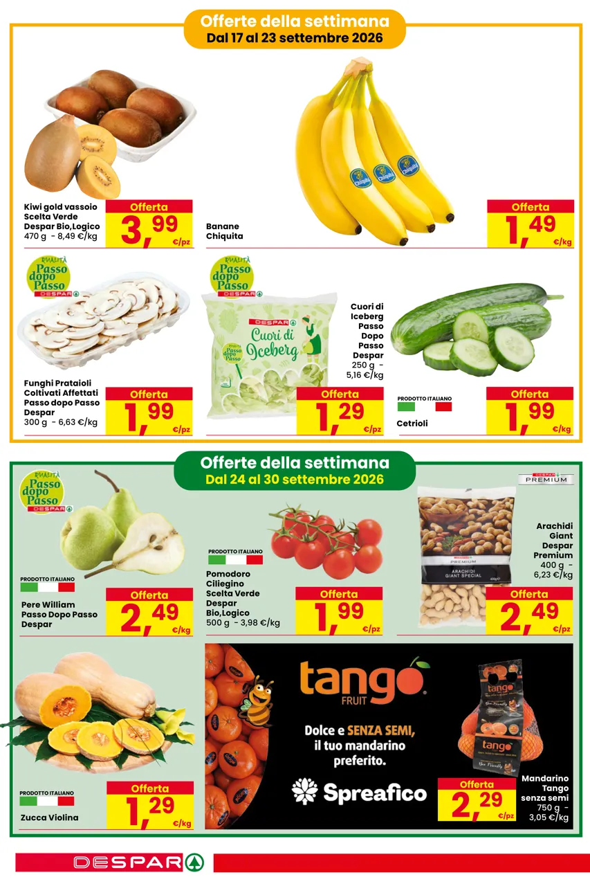 Pagina 4