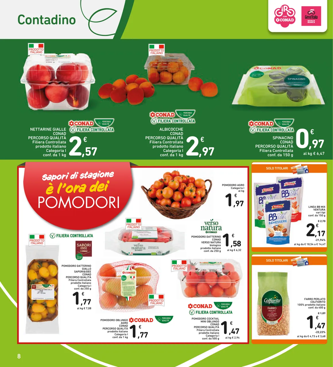 Pagina 8