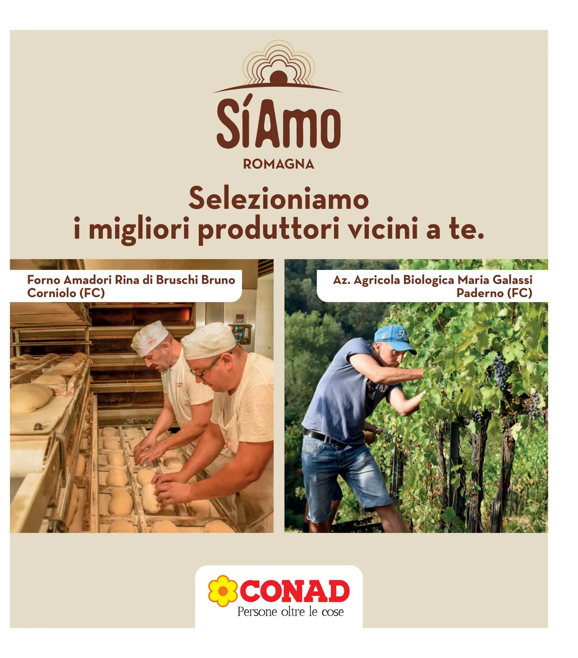 Pagina 31